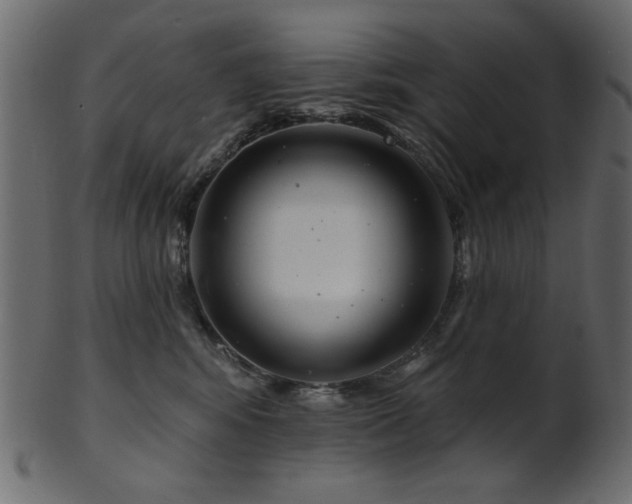 X0000101980424200807181129