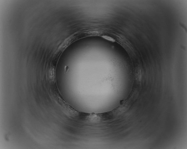 X0000101980425200807181129