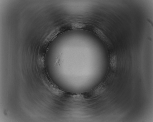 X0000101980426200807181129