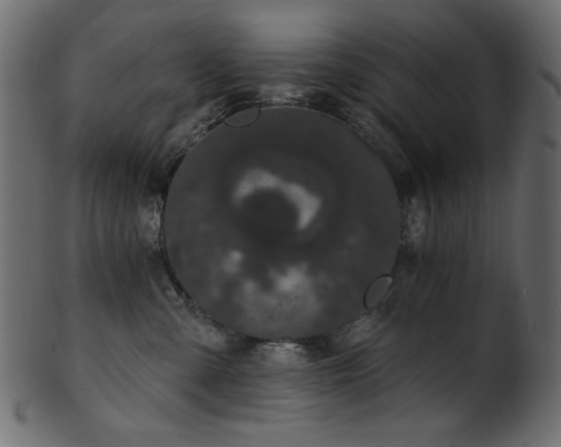 X0000101980427200807181129