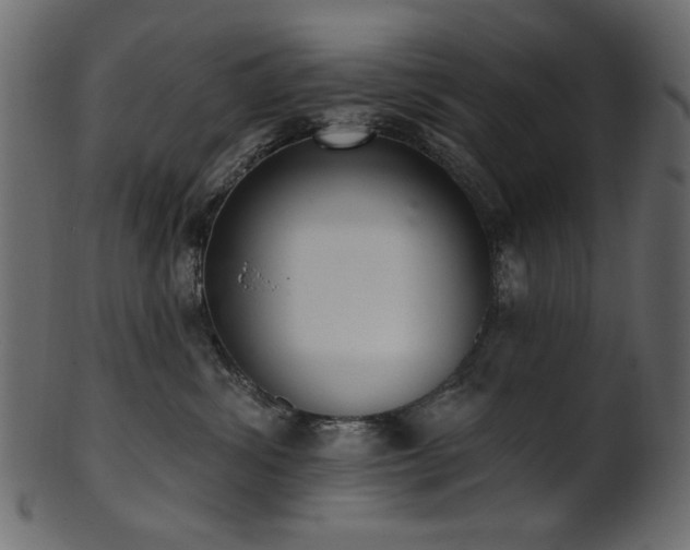 X0000101980428200807181129