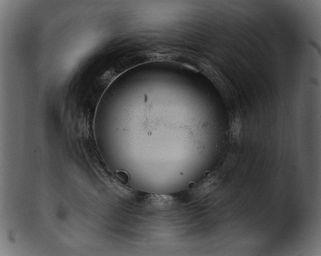 X0000101980429200807181129