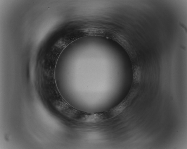 X0000101980430200807181129