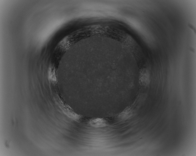 X0000101980431200807181129