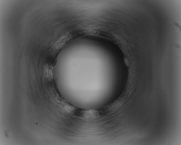 X0000101980432200807181129