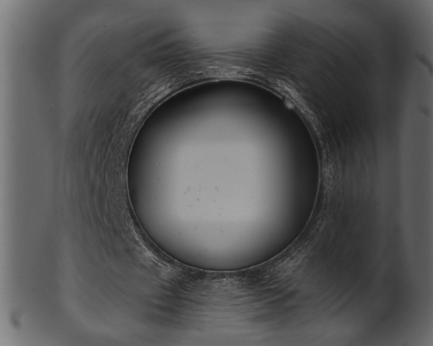 X0000101980433200807181128