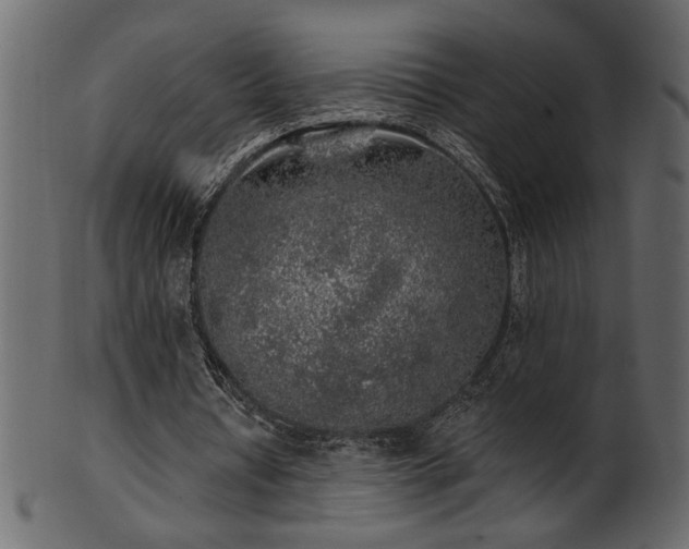 X0000101980434200807181128