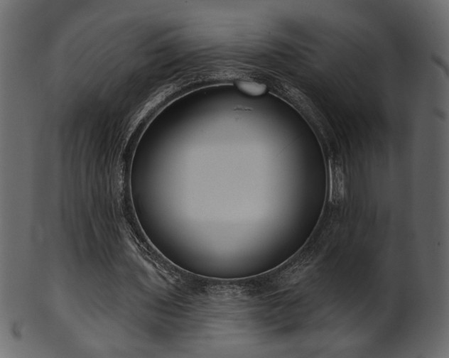 X0000101980435200807181128