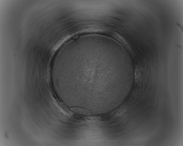 X0000101980436200807181128