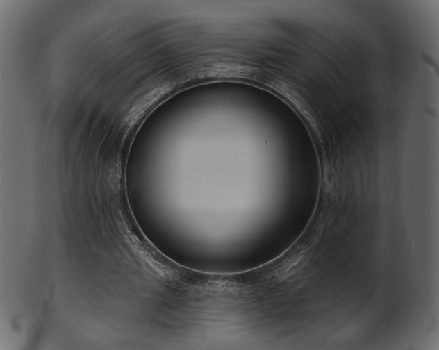 X0000101980437200807181128