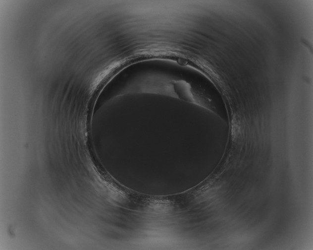 X0000101980438200807181128