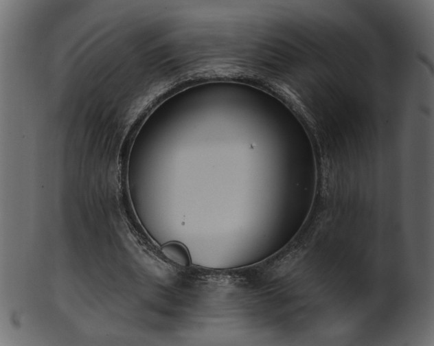 X0000101980439200807181128