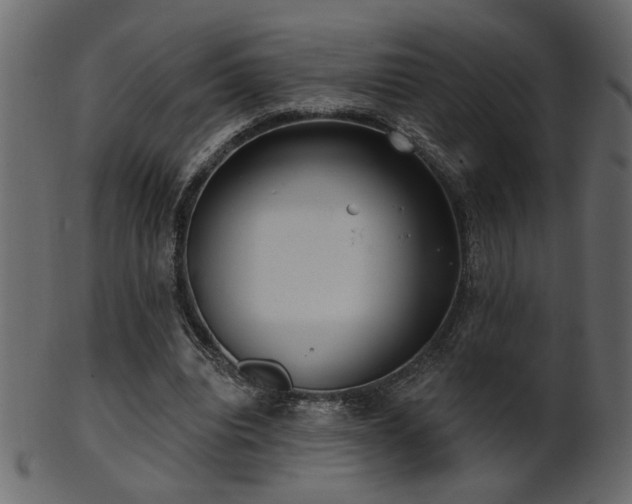 X0000101980440200807181128