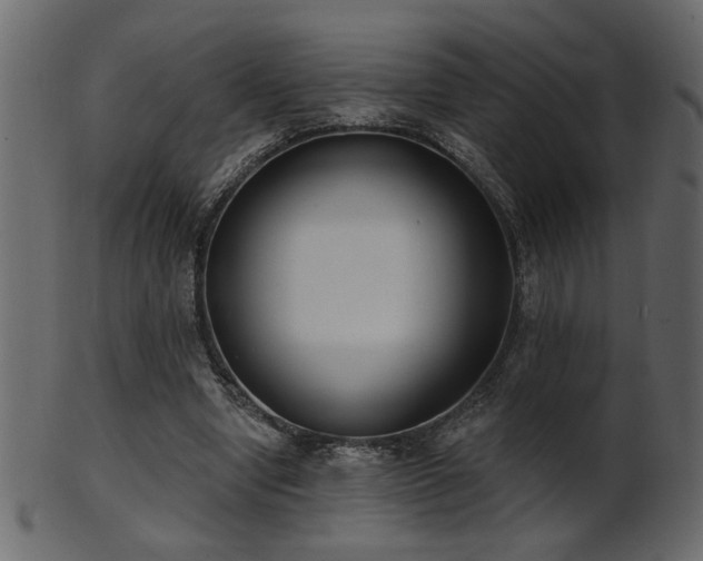 X0000101980442200807181128