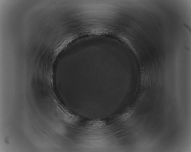 X0000101980443200807181128