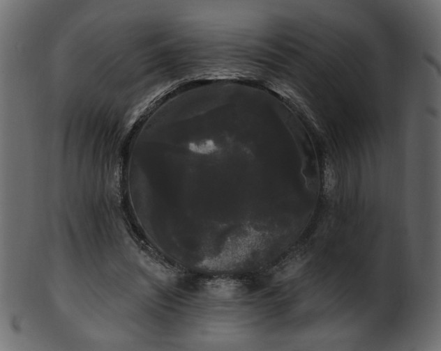 X0000101980444200807181128