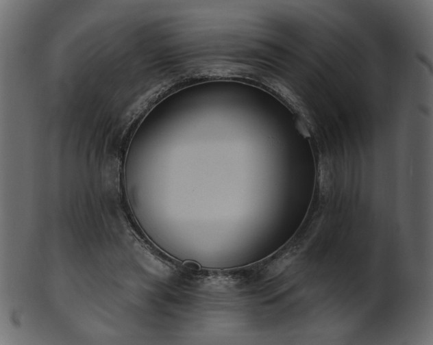 X0000101980445200807181128