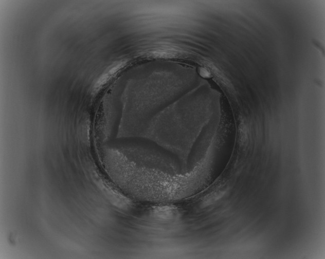 X0000101980446200807181128