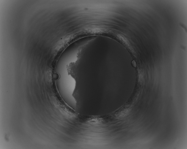 X0000101980447200807181128