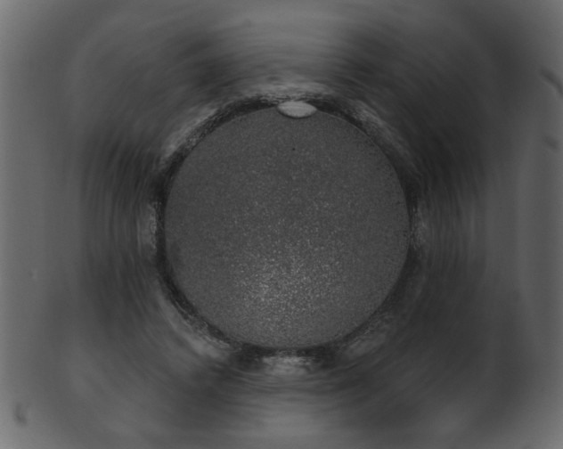 X0000101980448200807181128