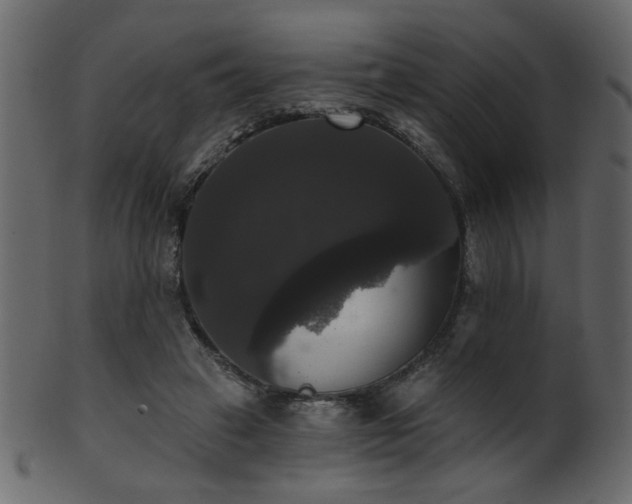 X0000101980449200807181128