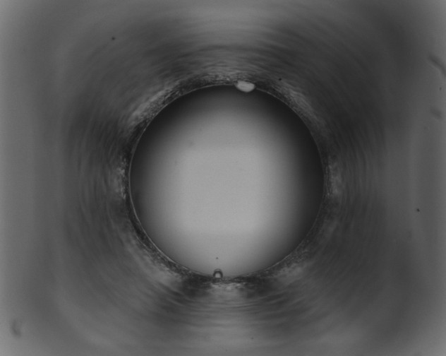 X0000101980450200807181128