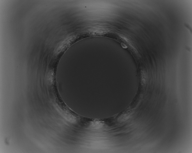 X0000101980451200807181129