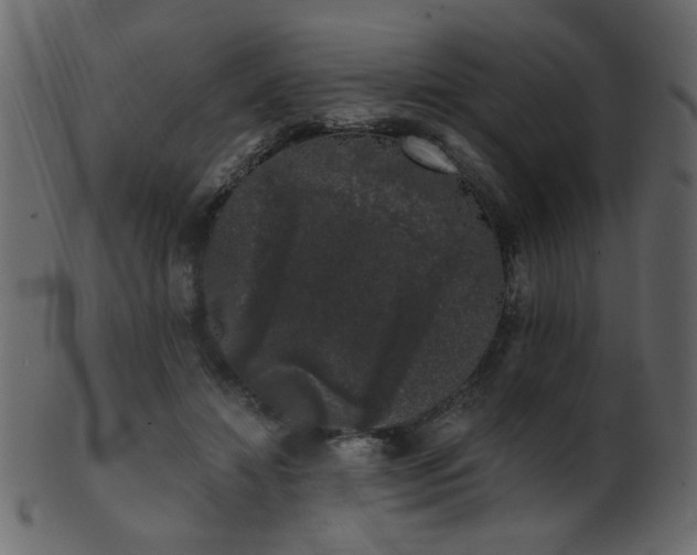 X0000101980452200807181129