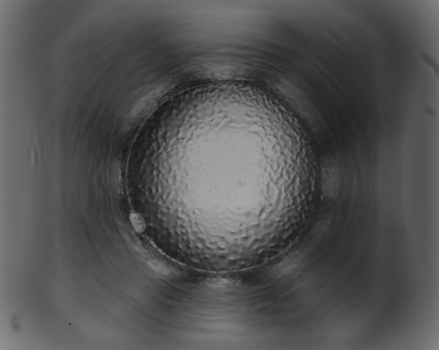 X0000101980453200807181129