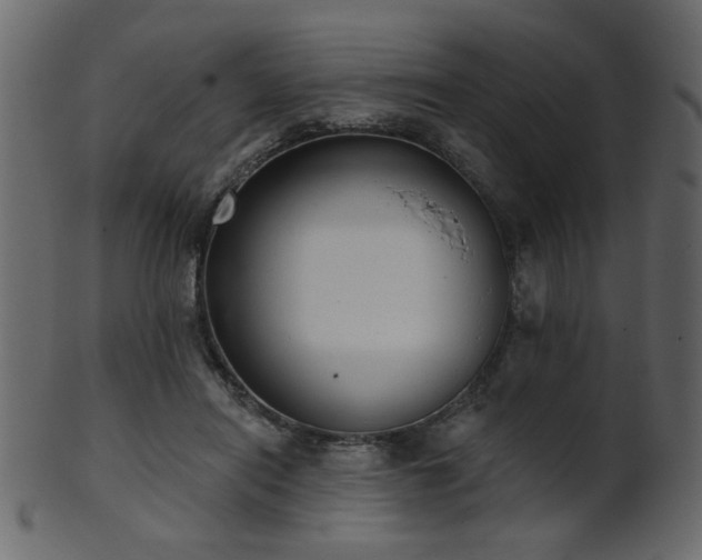 X0000101980454200807181129