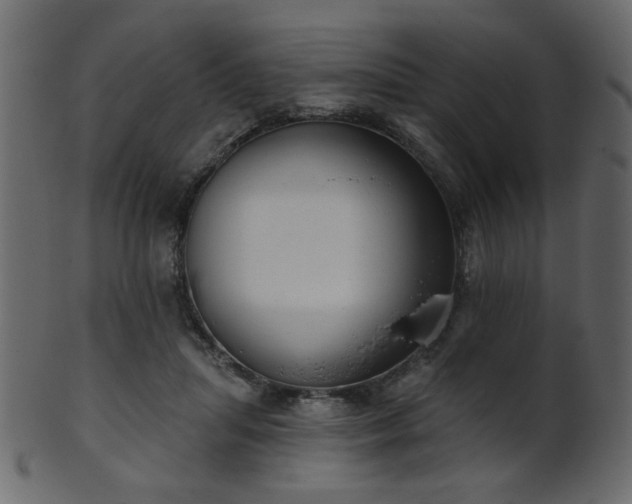 X0000101980455200807181129