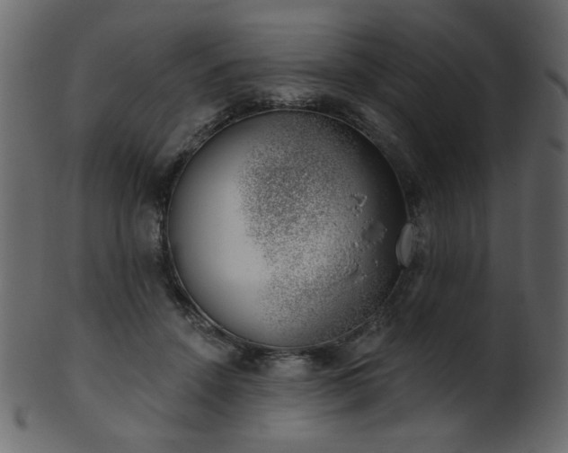 X0000101980456200807181129