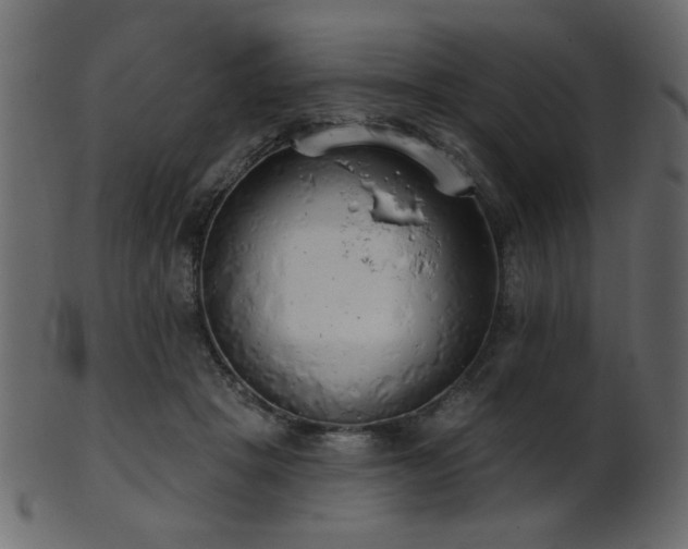 X0000101980457200807181129