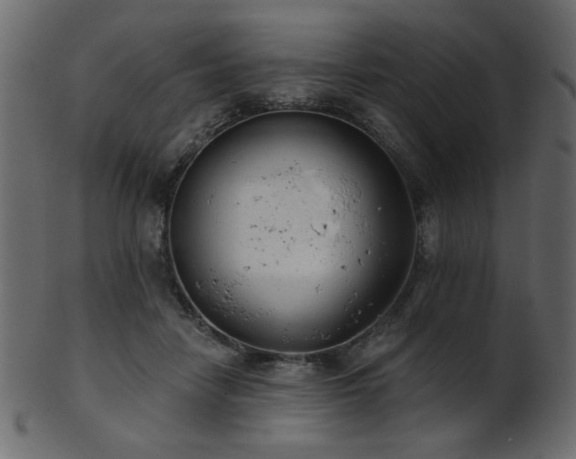 X0000101980458200807181129