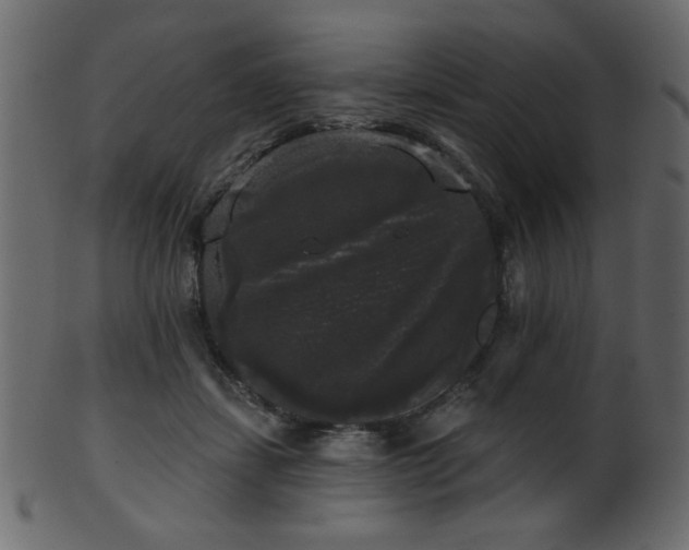 X0000101980459200807181129