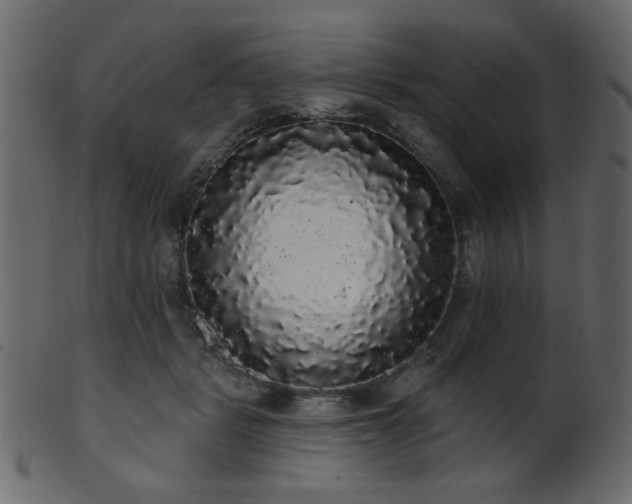 X0000101980461200807181129