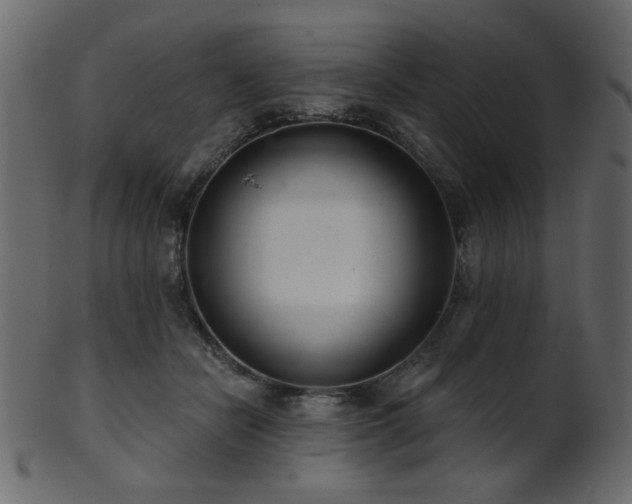 X0000101980462200807181129