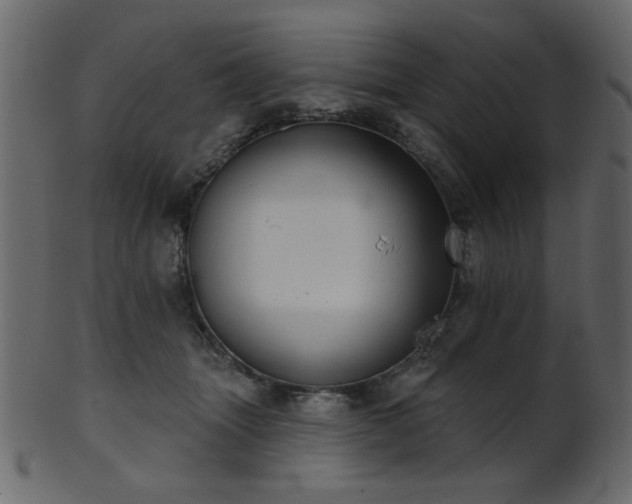 X0000101980463200807181129