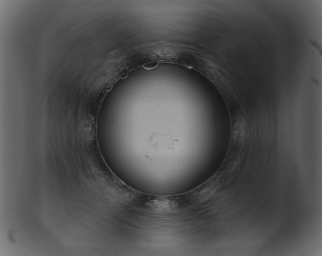 X0000101980464200807181129