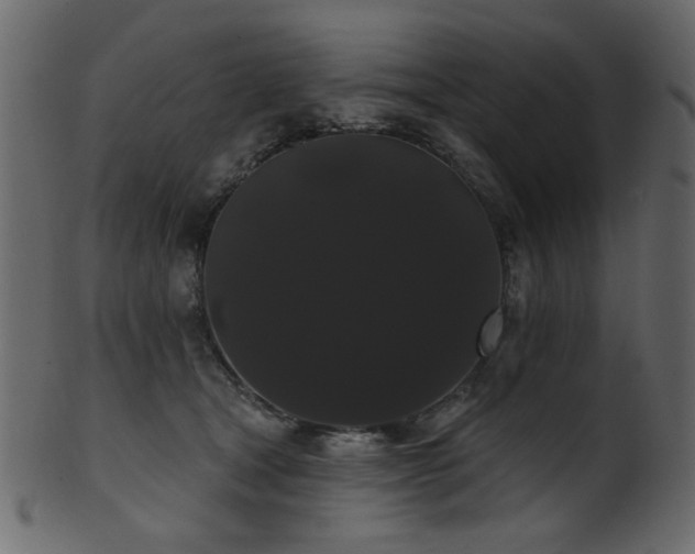 X0000101980465200807181129