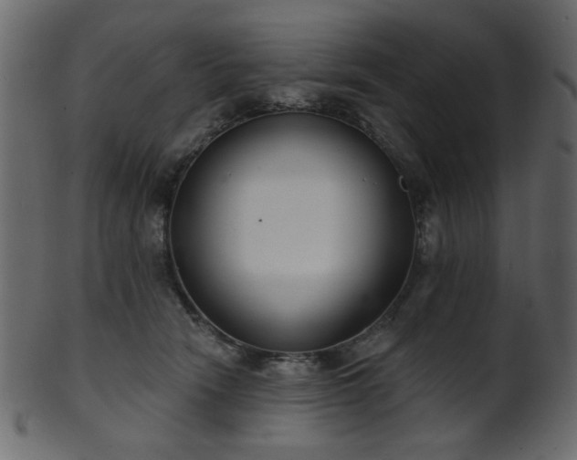 X0000101980466200807181129