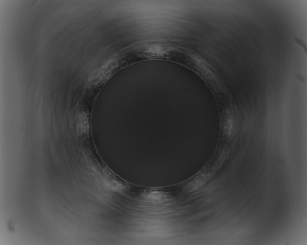 X0000101980467200807181129