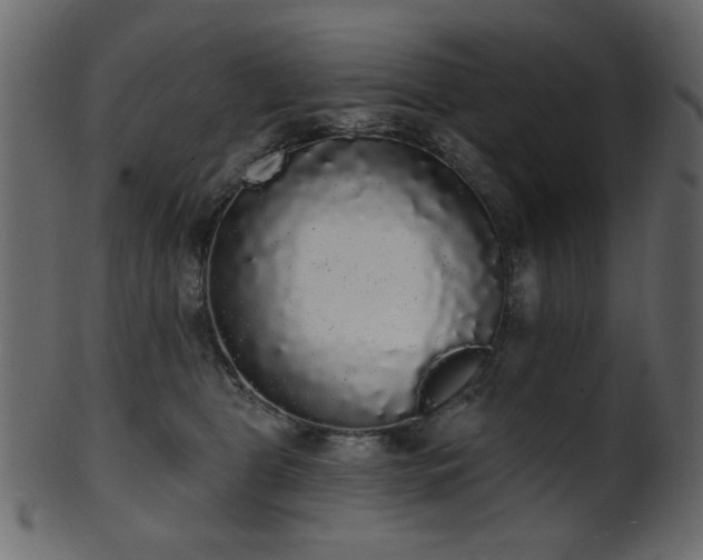 X0000101980469200807181129