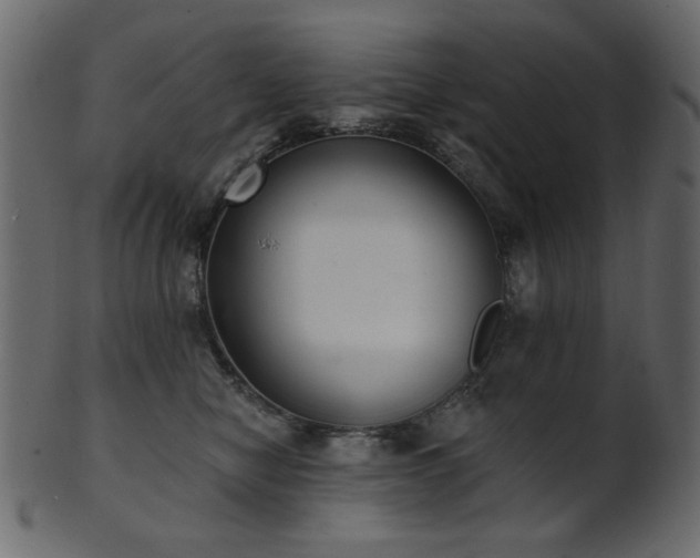 X0000101980470200807181129