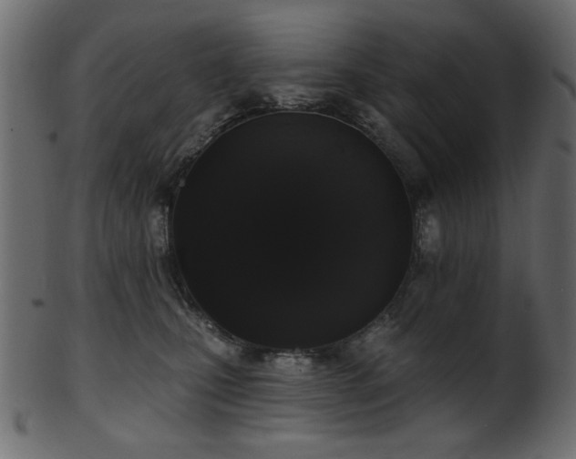 X0000101980471200807181129