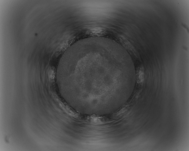 X0000101980472200807181129