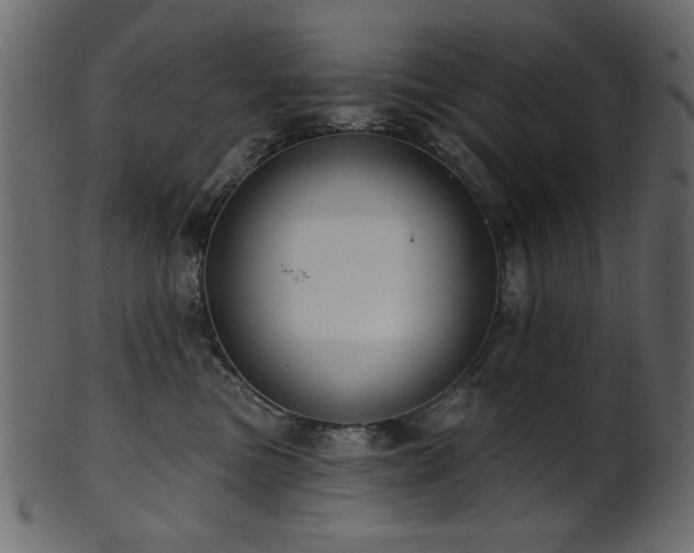 X0000101980473200807181129