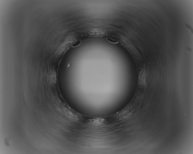 X0000101980474200807181129