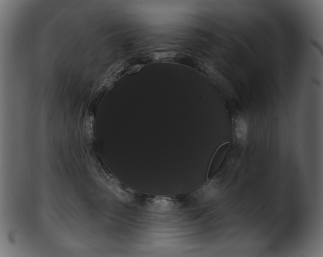 X0000101980475200807181129