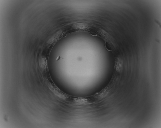 X0000101980476200807181129